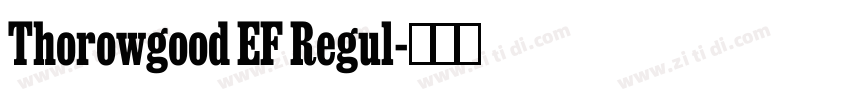 Thorowgood EF Regul字体转换